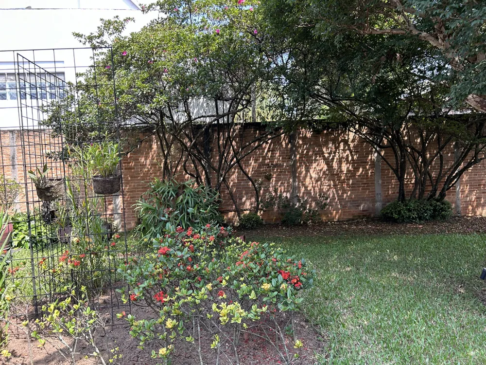 Casa, 3 quartos, 228 m² - Foto 3
