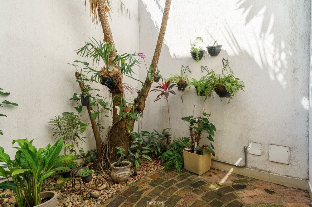 Casa, 4 quartos - Foto 6