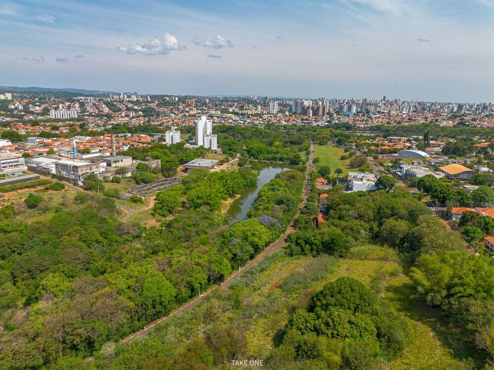 Casa, 4 quartos - Foto 6