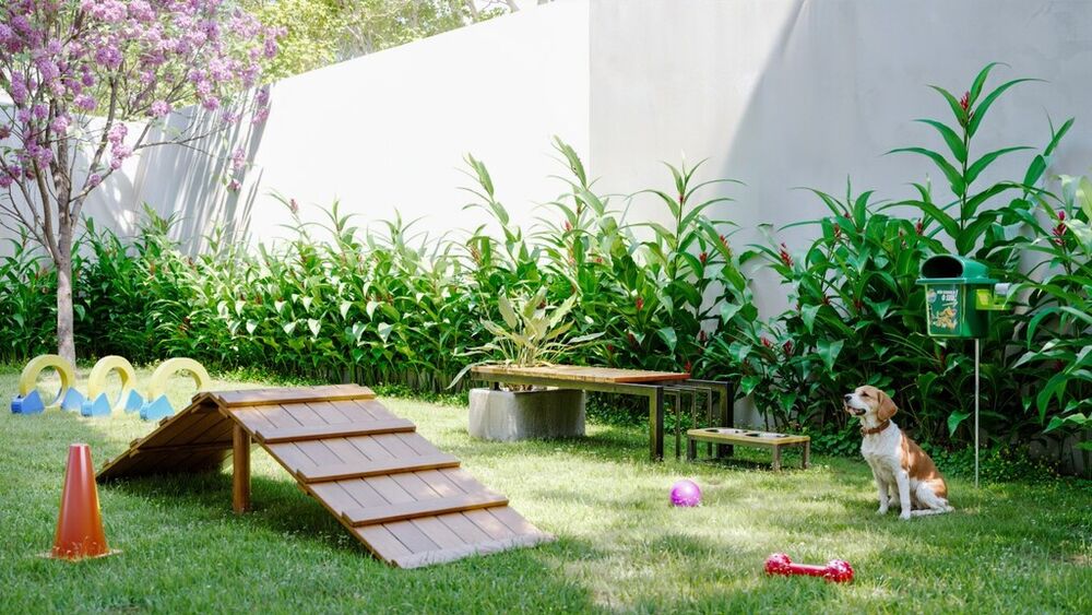 Apartamento, 2 quartos, 39 m² - Foto 23