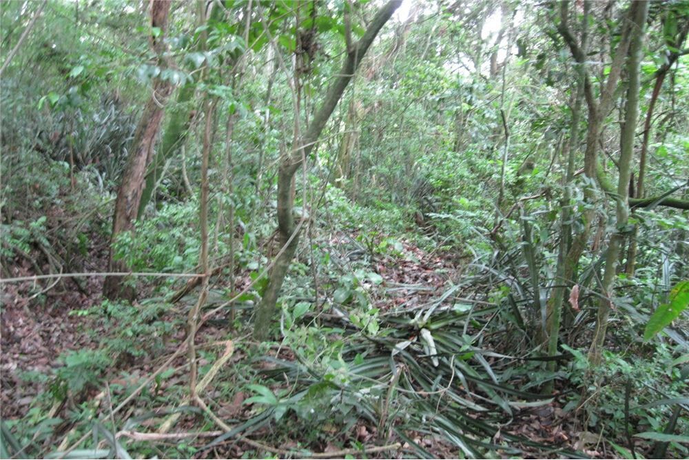 Terreno - Foto 2
