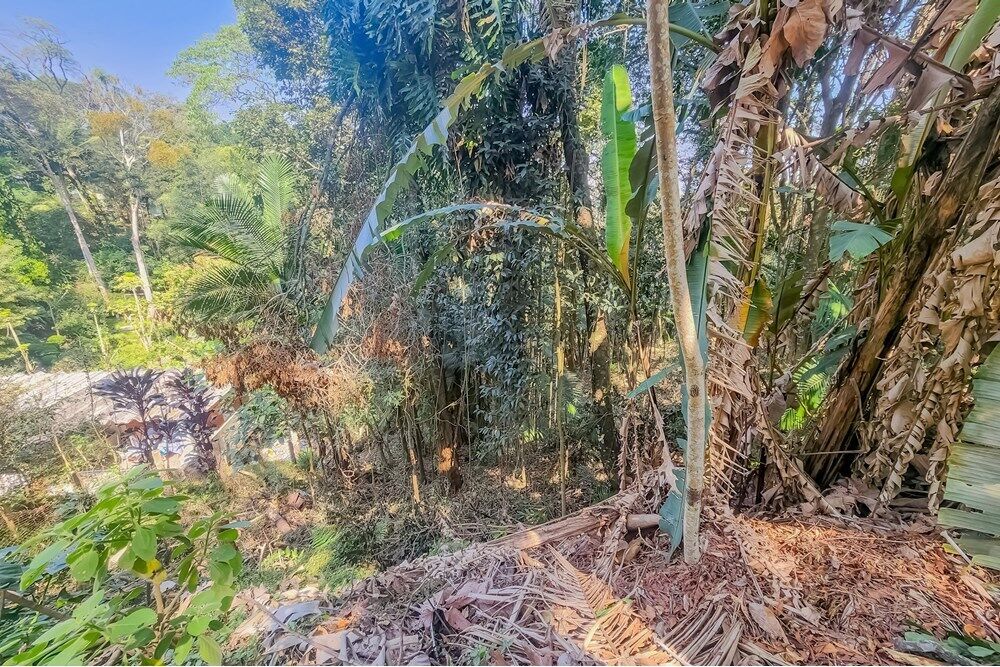 Terreno - Foto 4