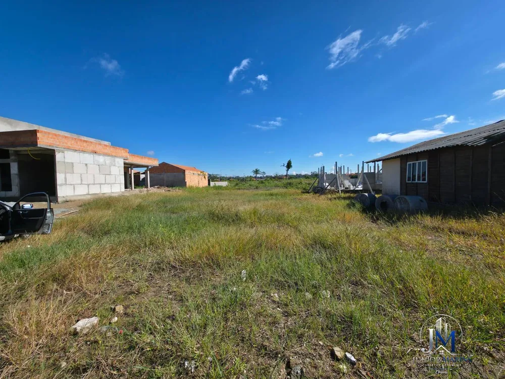 Terreno, 44 hectares - Foto 3
