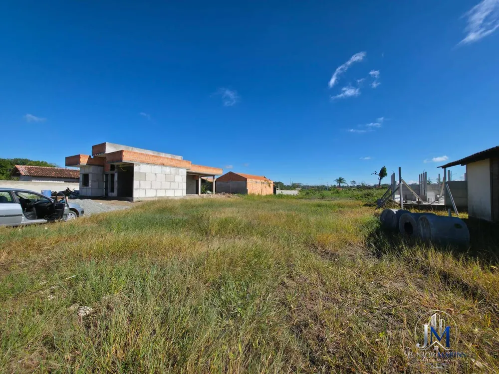 Terreno, 44 hectares - Foto 2