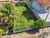 Terreno, 250 m² - Foto 3