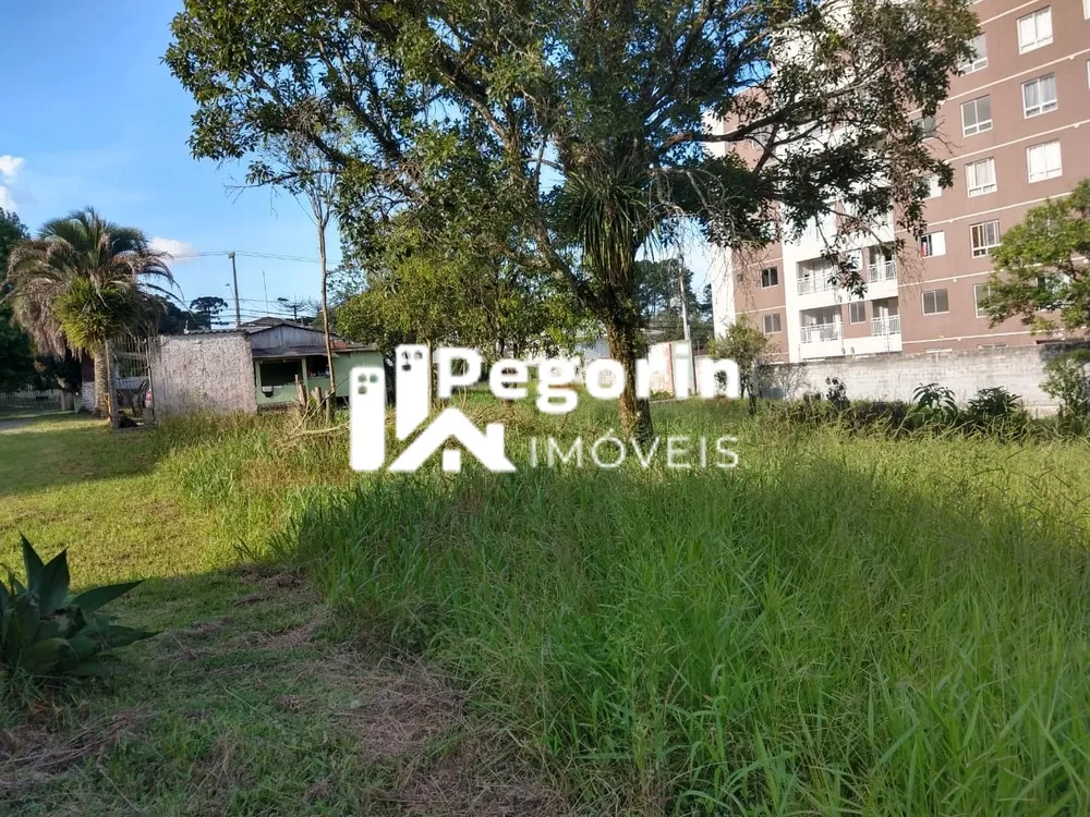 Terreno, 6325 m² - Foto 8