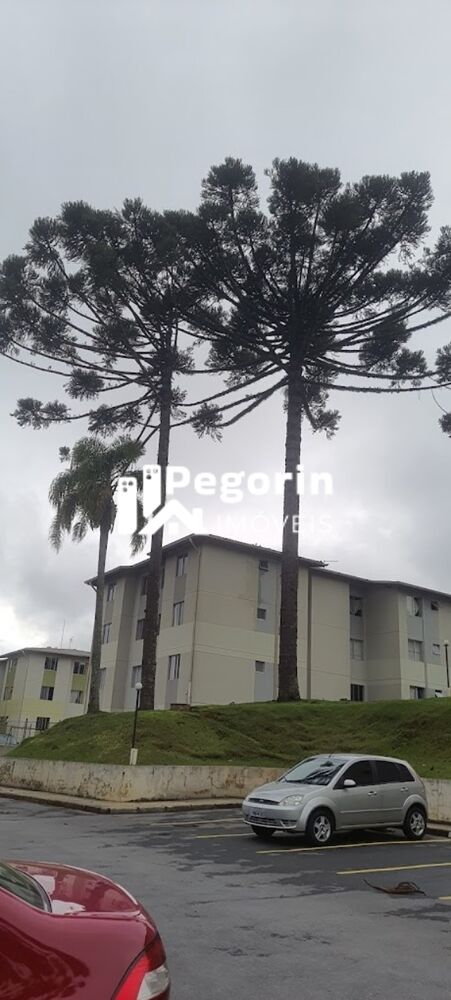 Apartamento à venda com 2 quartos, 45m² - Foto 8