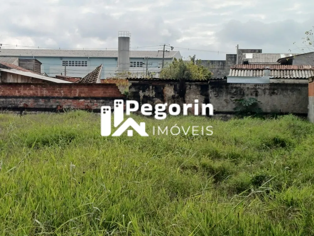 Terreno, 3510 m² - Foto 6