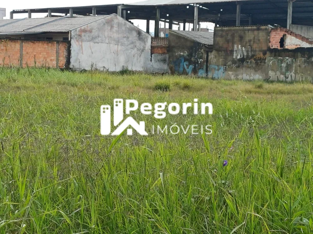 Terreno, 3510 m² - Foto 5