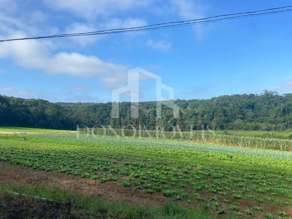 Terreno, 20 hectares - Foto 1