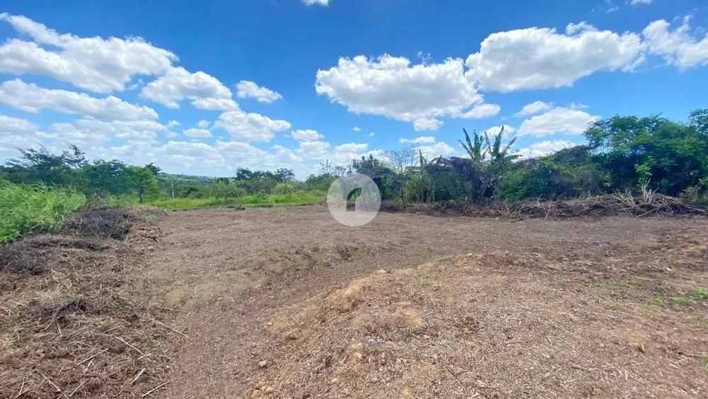 Terreno, 496 m² - Foto 4