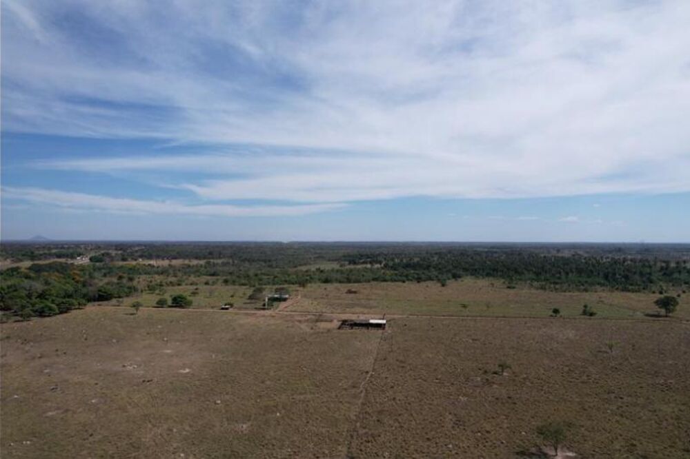 Fazenda à venda com 2 quartos - Foto 4