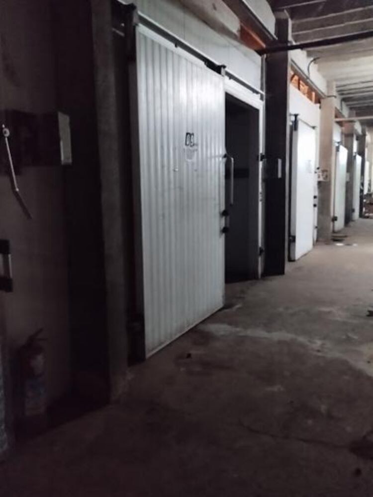 Depósito-Galpão-Armazém à venda com 3 quartos, 1600m² - Foto 3