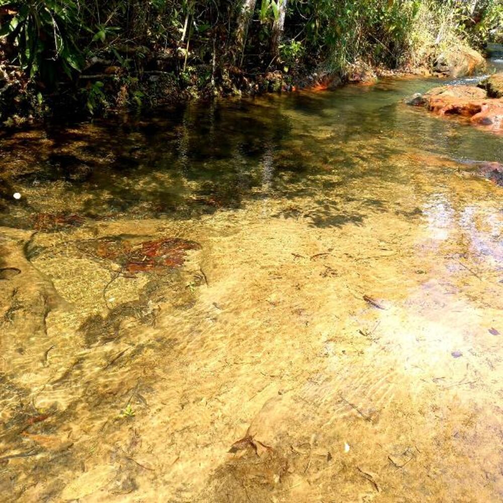 Chácara, 2 quartos - Foto 40