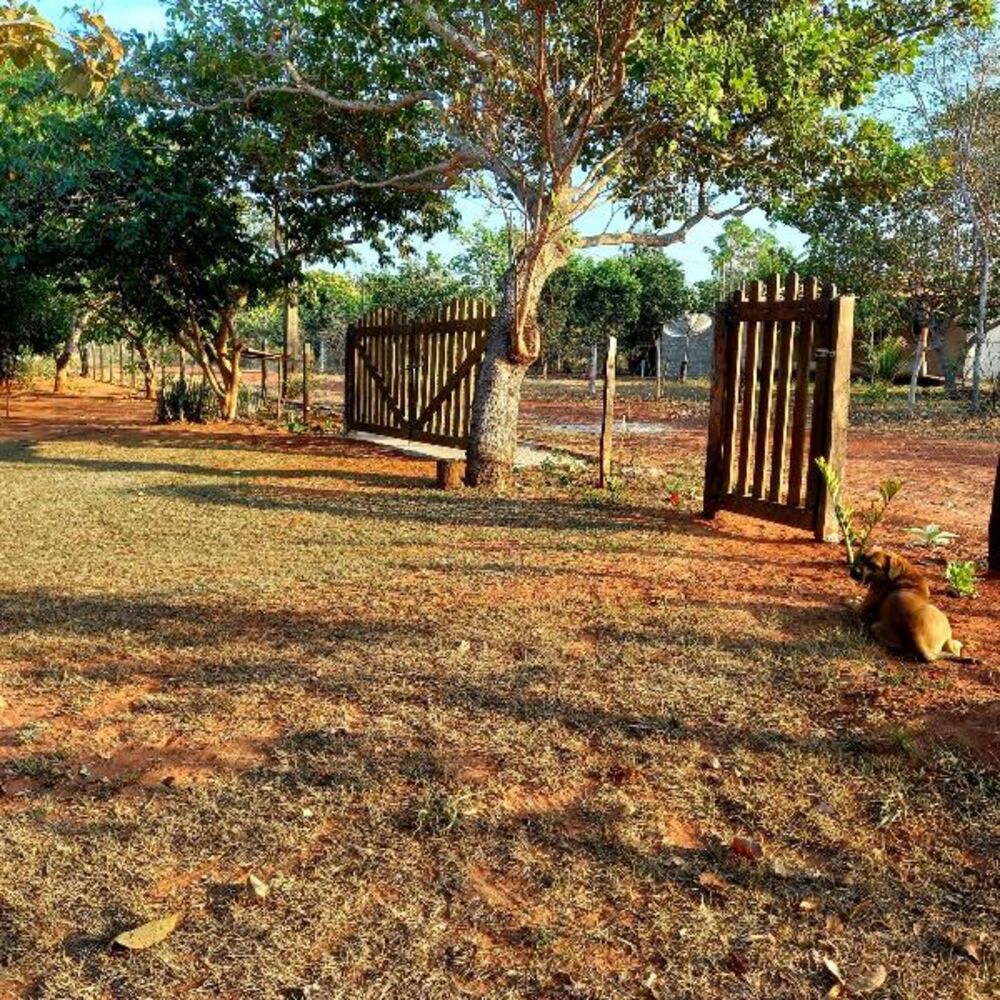 Chácara, 2 quartos - Foto 2