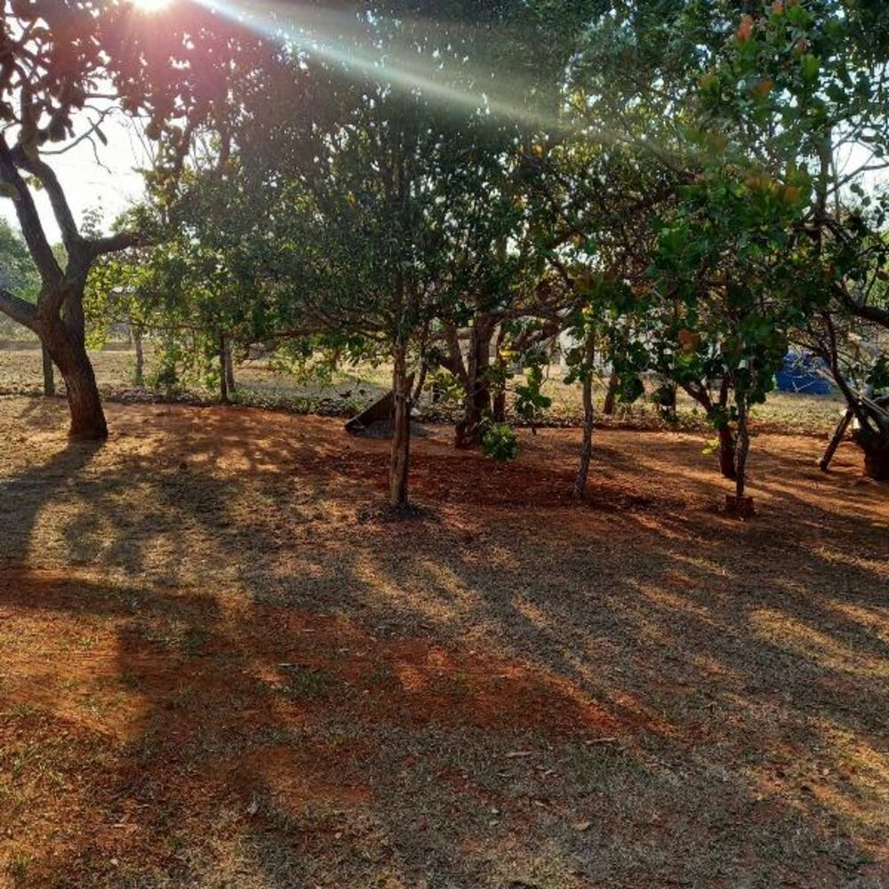 Chácara, 2 quartos - Foto 27