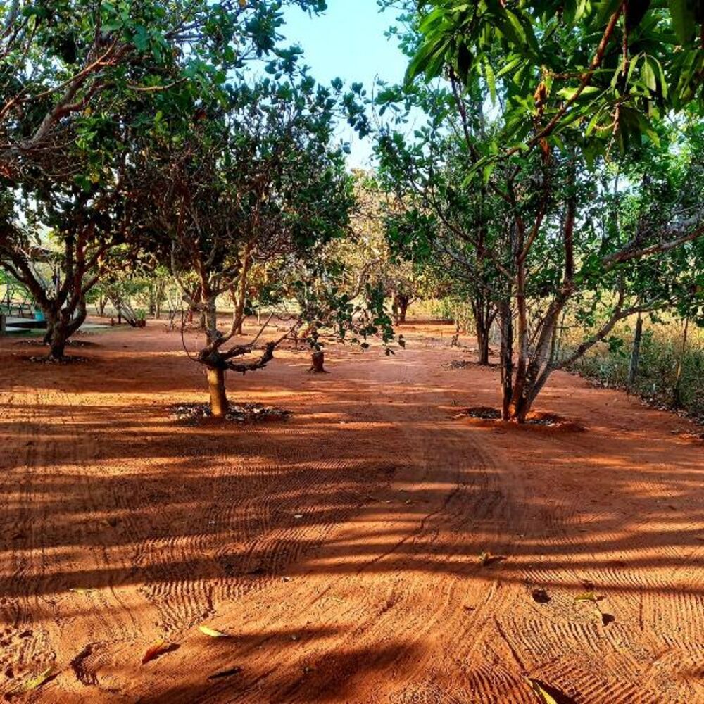 Chácara, 2 quartos - Foto 29