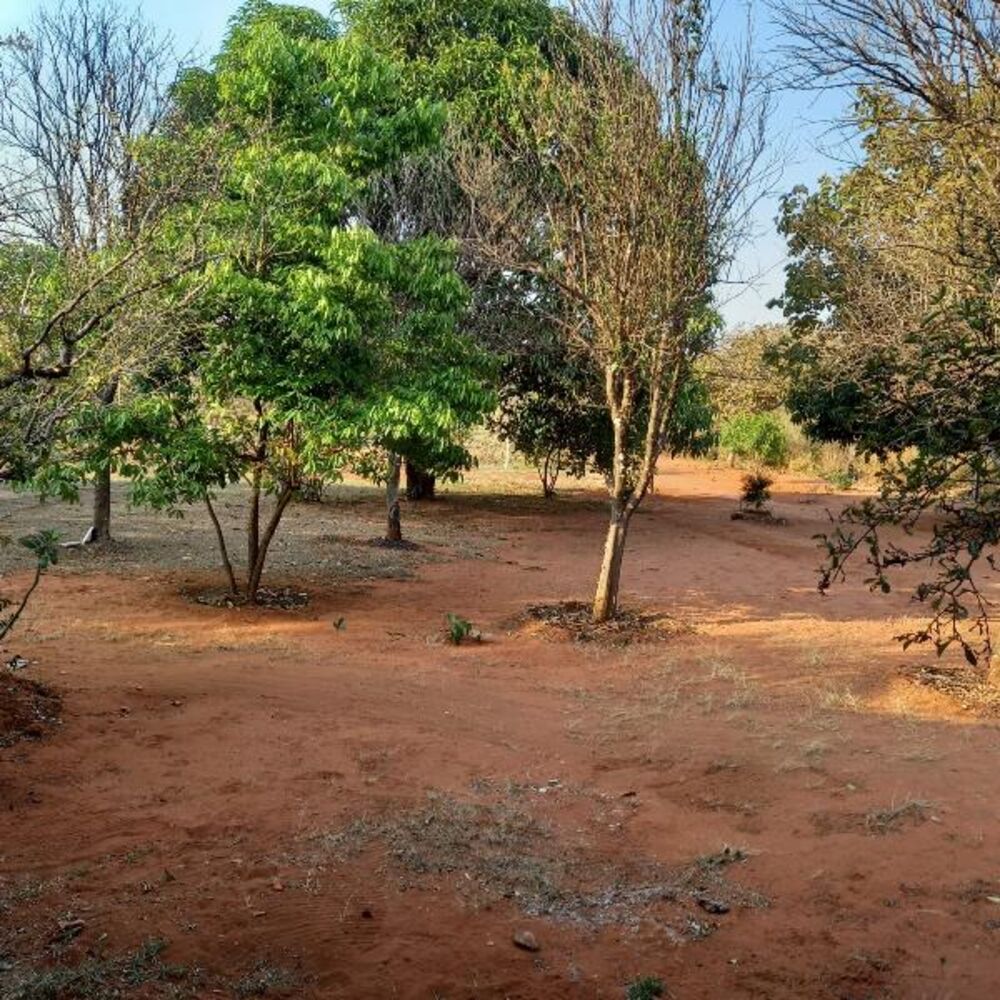 Chácara, 2 quartos - Foto 11