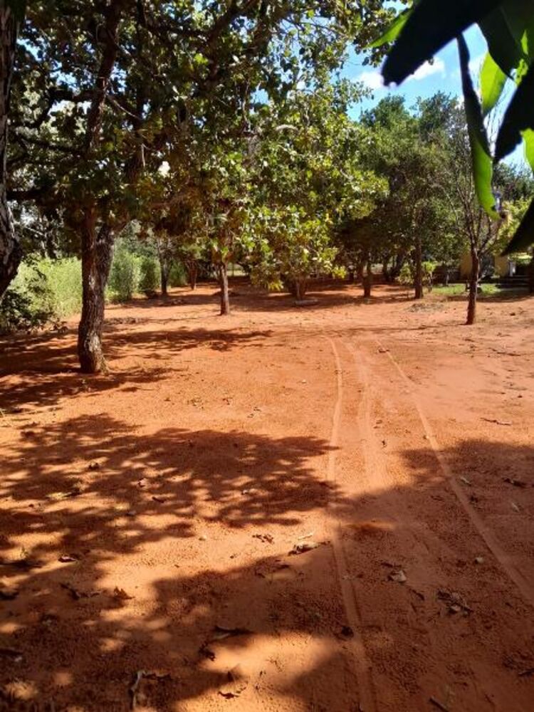 Chácara, 2 quartos - Foto 36