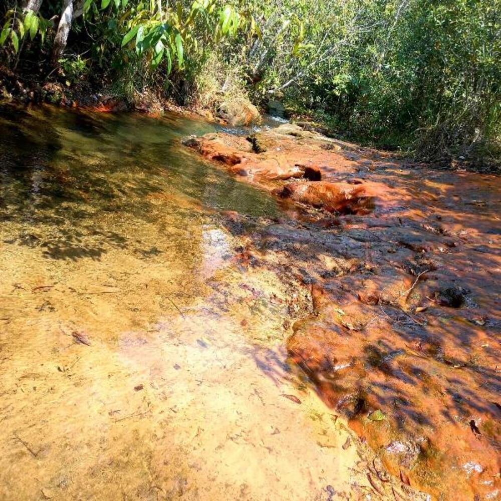 Chácara, 2 quartos - Foto 39