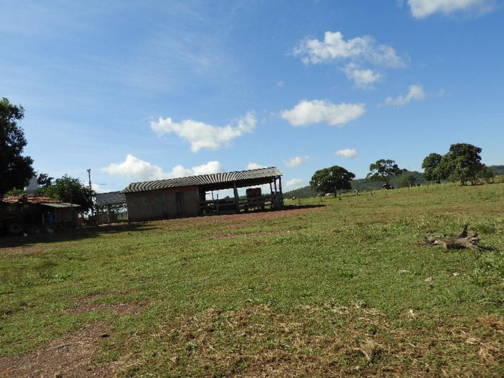 Fazenda à venda com 5 quartos - Foto 22