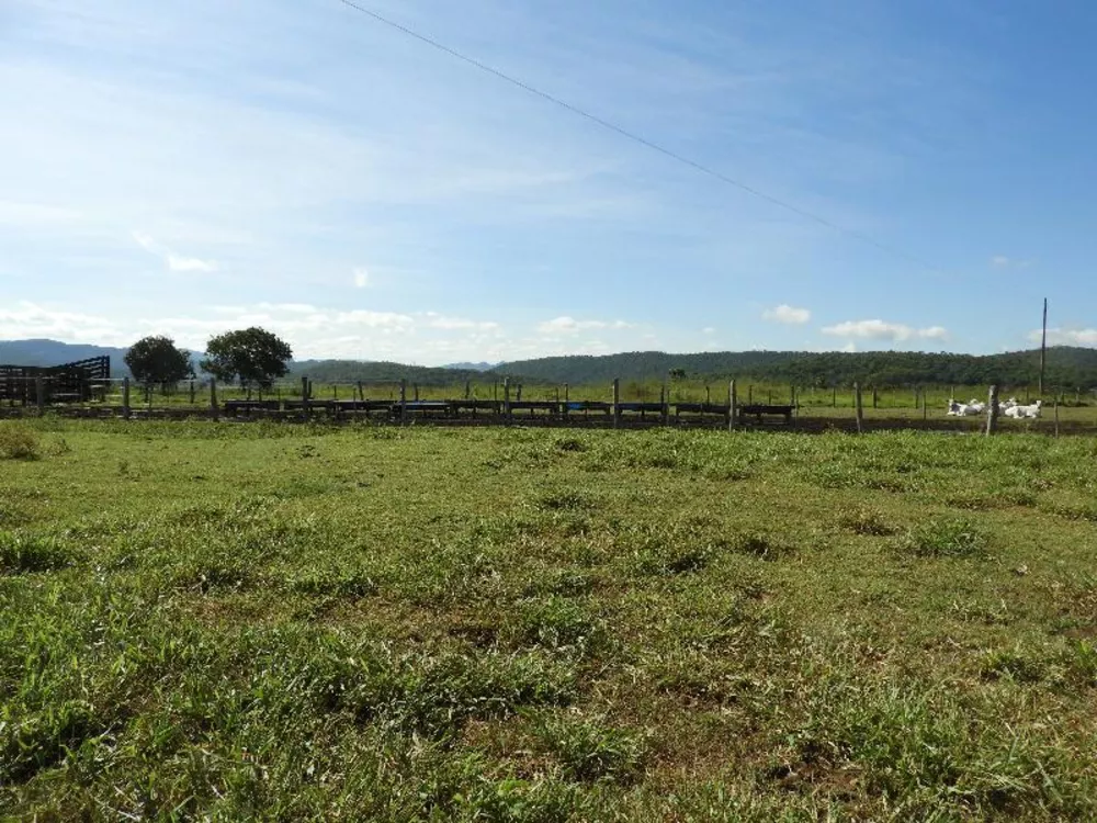 Fazenda à venda com 5 quartos - Foto 14