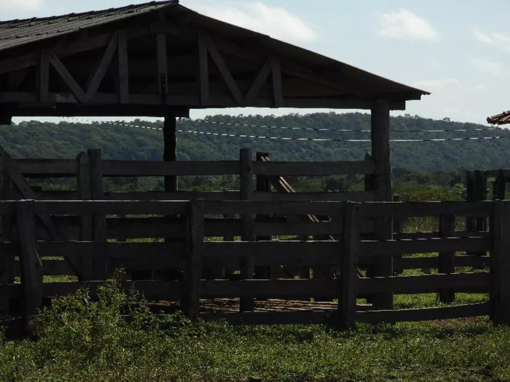 Fazenda à venda com 5 quartos - Foto 15