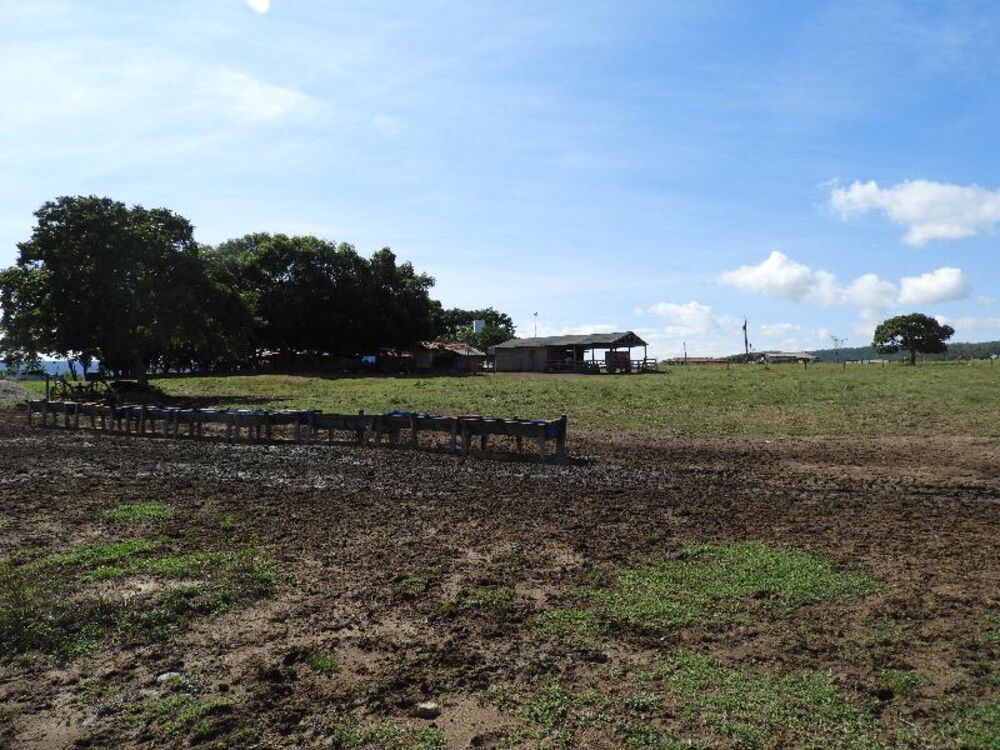 Fazenda à venda com 5 quartos - Foto 21