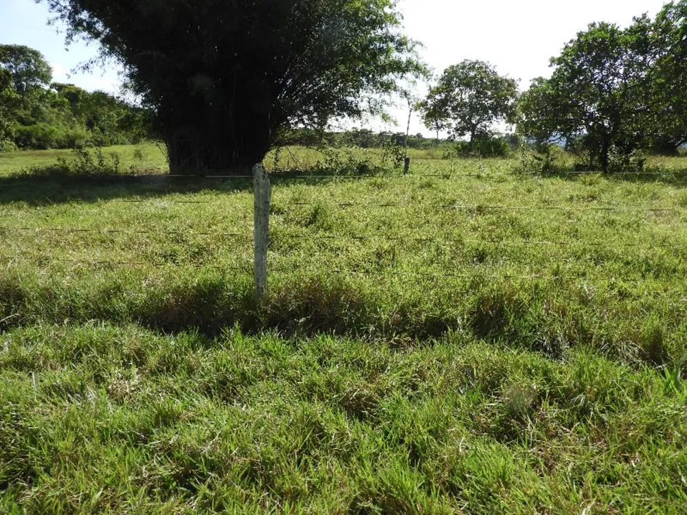 Fazenda à venda com 5 quartos - Foto 18