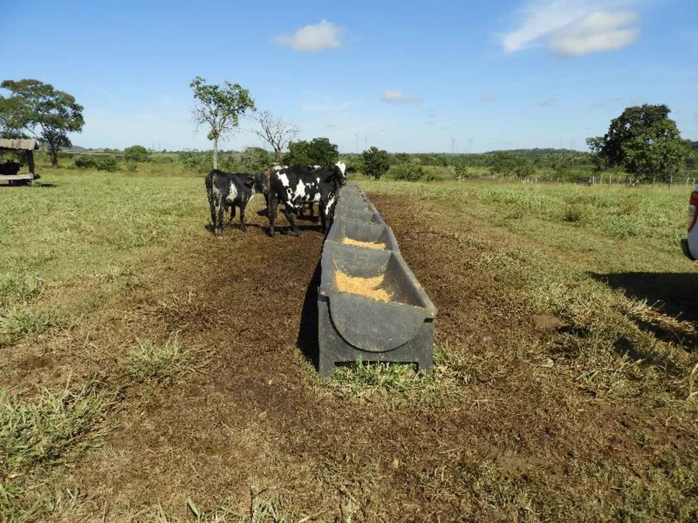 Fazenda à venda com 5 quartos - Foto 17