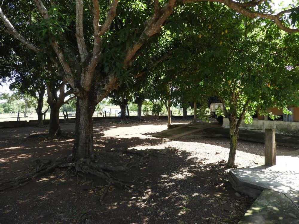 Fazenda à venda com 5 quartos - Foto 24
