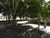 Fazenda-Sítio-Chácara, 5 quartos - Foto 24