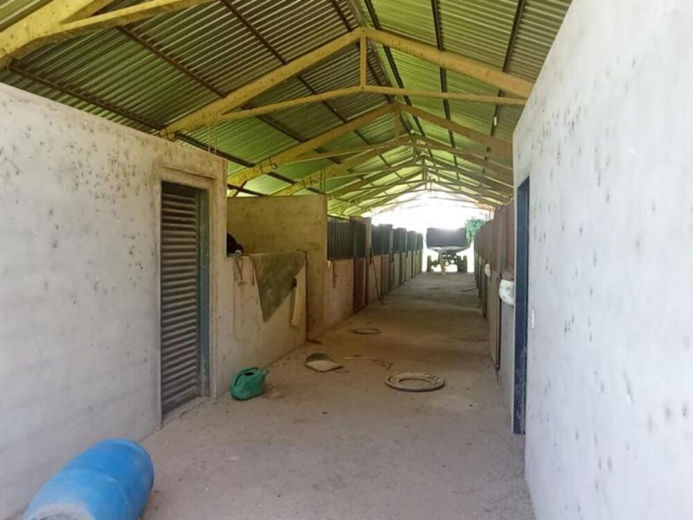 Fazenda à venda - Foto 15