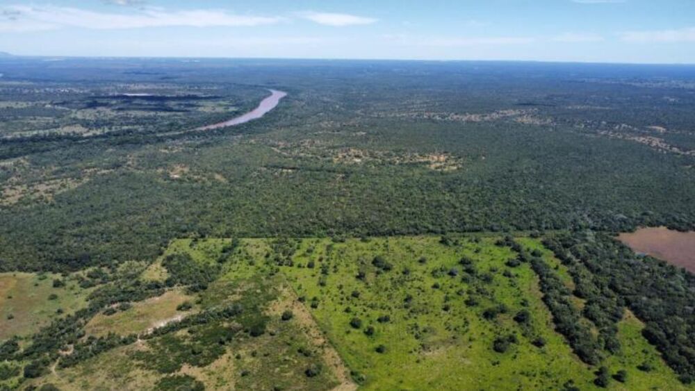 Fazenda à venda - Foto 11