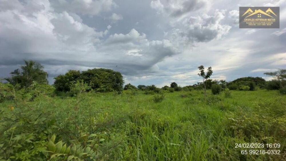 Fazenda à venda - Foto 7