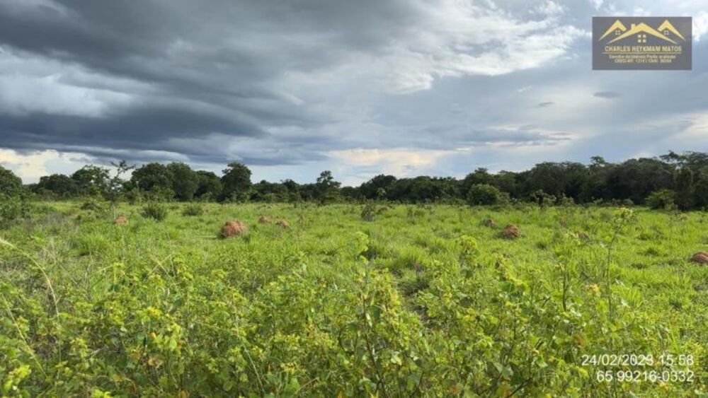 Fazenda à venda - Foto 24