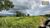 Fazenda-Sítio-Chácara - Foto 5
