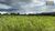 Fazenda-Sítio-Chácara - Foto 24