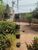 Casa, 3 quartos, 246 m² - Foto 22