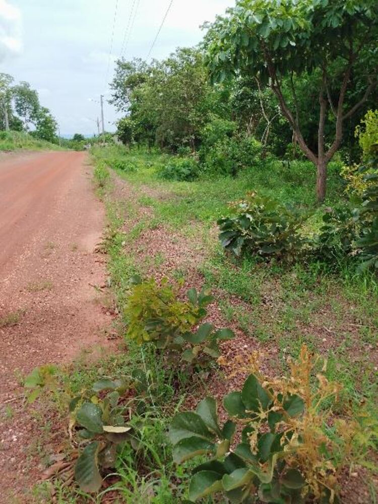 Terreno, 5000 m² - Foto 2