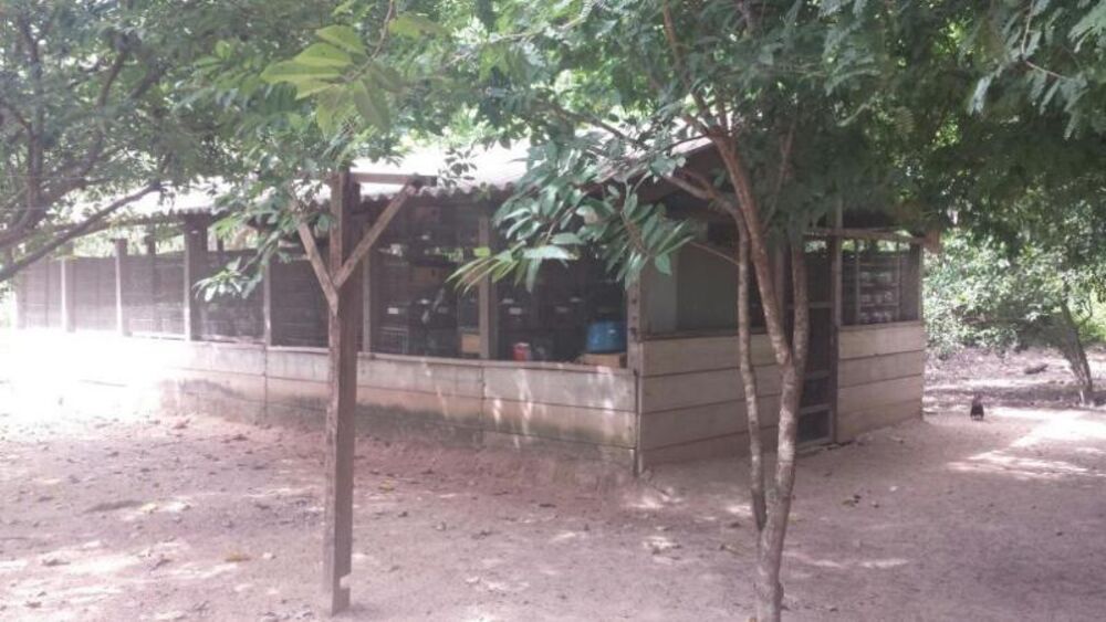 Fazenda - Foto 3