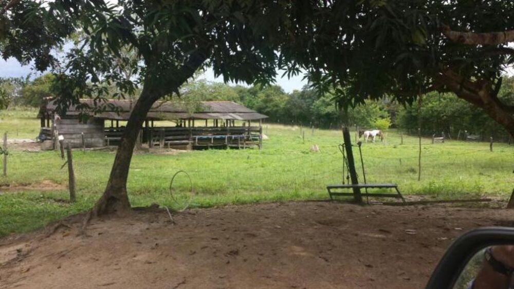 Fazenda - Foto 4