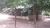 Fazenda - Foto 3