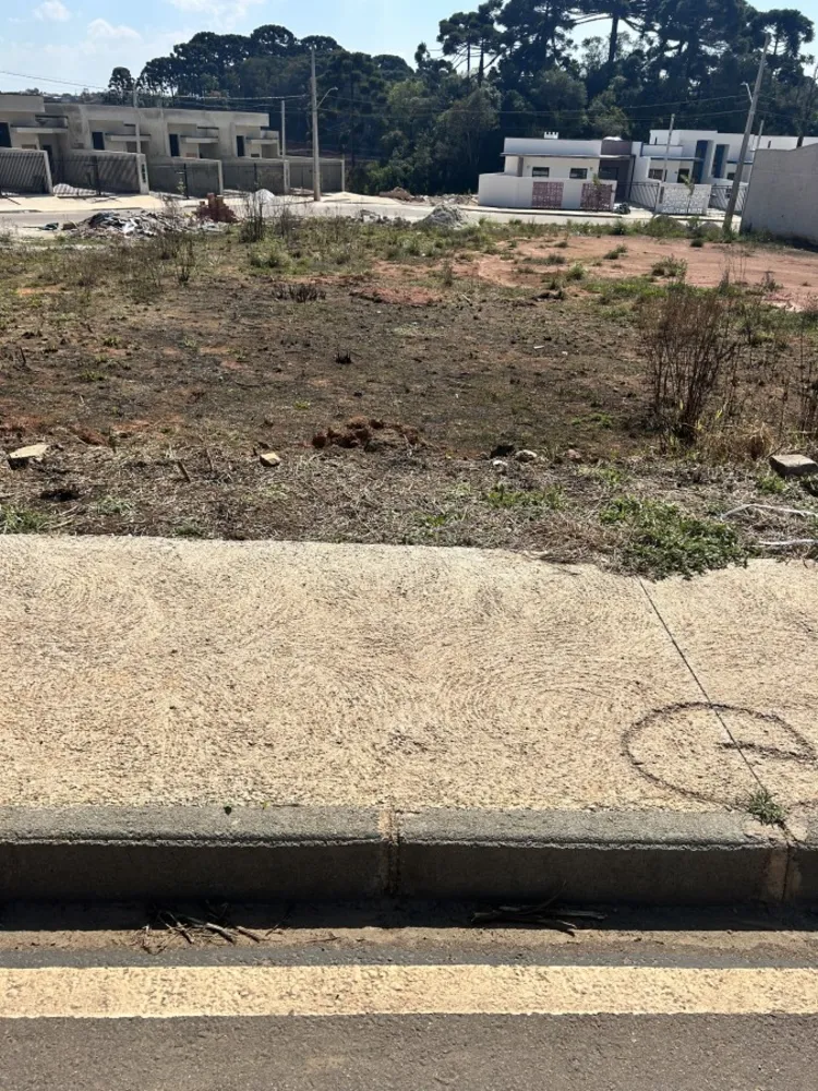 Terreno, 120 m² - Foto 3