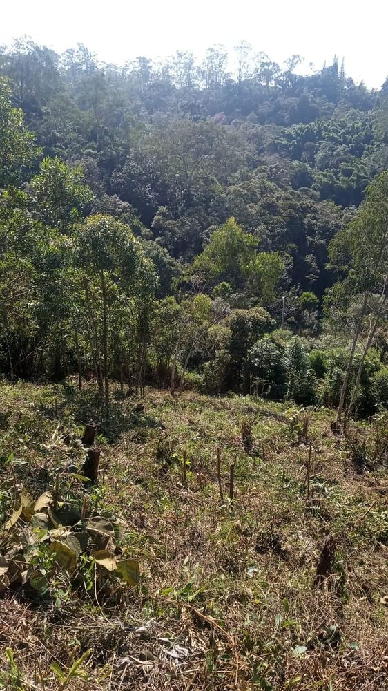 Terreno à venda, 10m² - Foto 2