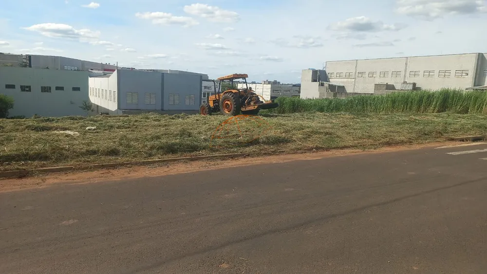 Terreno, 1000 m² - Foto 4