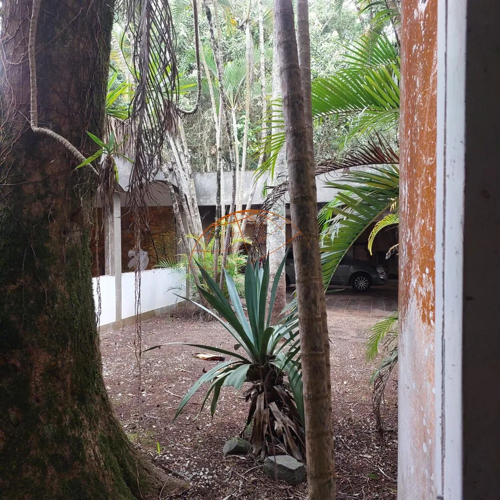 Terreno, 3 hectares - Foto 14