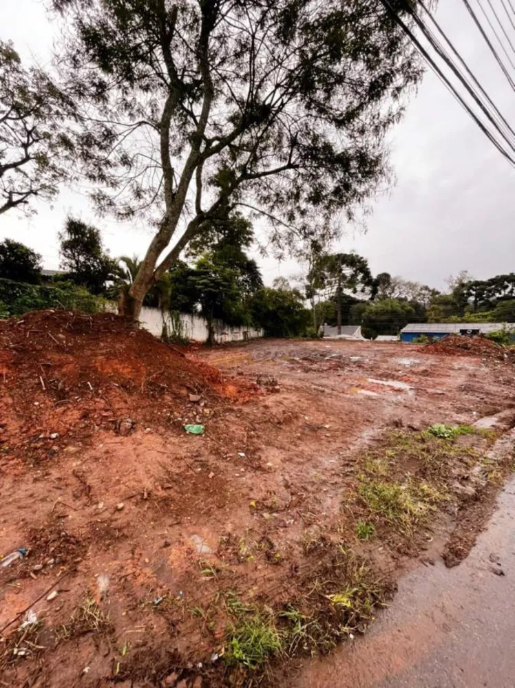 Terreno à venda com 1 quarto, 120m² - Foto 2