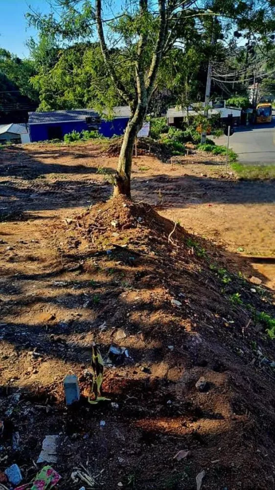 Terreno à venda com 1 quarto, 120m² - Foto 6