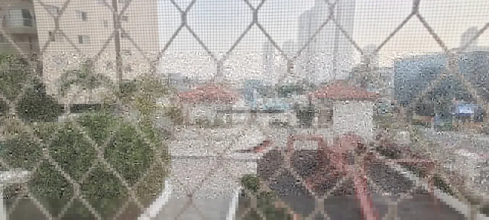 Apartamento, 3 quartos, 75 m² - Foto 8